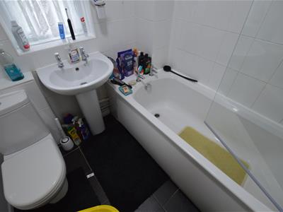 Picture 7